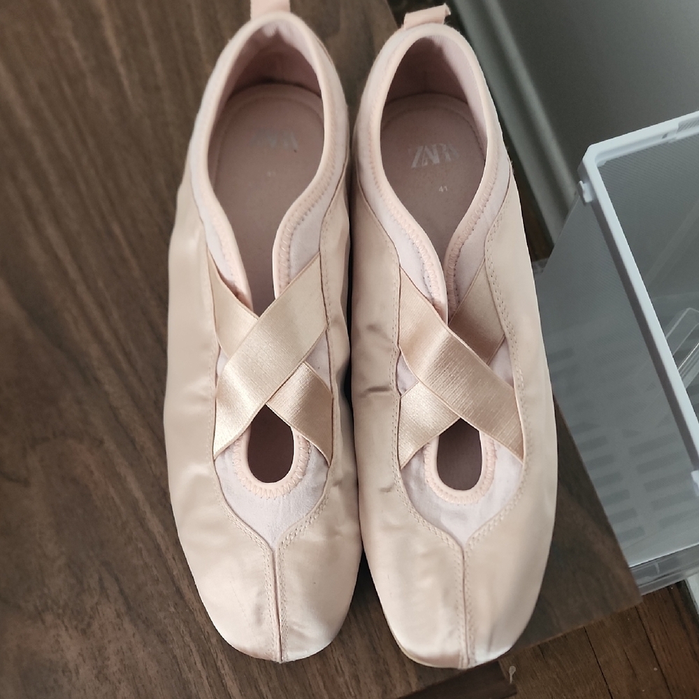 Zara Light Pink Ballet Flats
